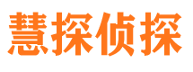 潮阳市调查公司